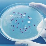Ứng dụng của phụ gia kháng khuẩn khuẩn trong sản xuất sơn